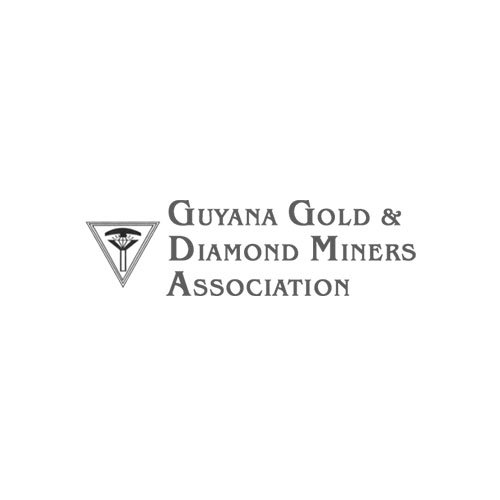 Logo - Guyana Gold & Diamond Miners Association